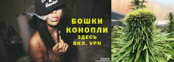 PSILOCYBIN Сосновка