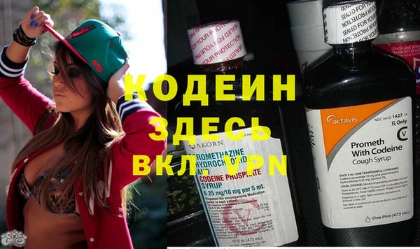 PSILOCYBIN Сосновка