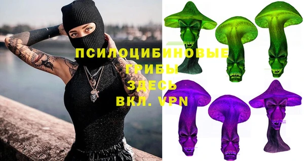 PSILOCYBIN Сосновка