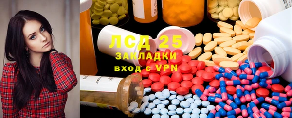 PSILOCYBIN Сосновка