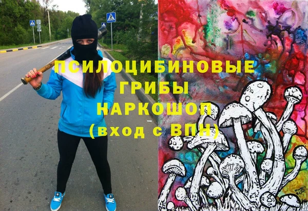 тгк Струнино