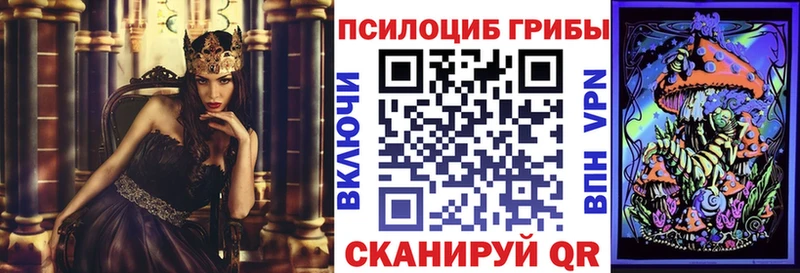 Галлюциногенные грибы прущие грибы  Купить  Шимановск 