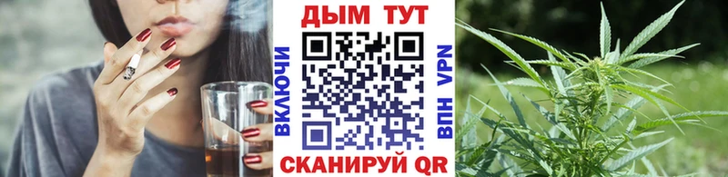 Купить где Шимановск Марихуана индика